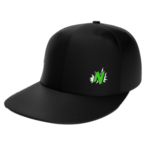 NERDitudes "N" Quarter Logo Lid